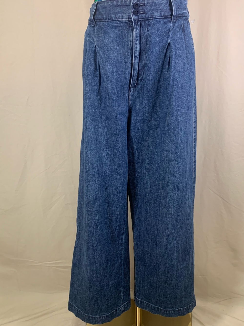 Madewell Pleated Wide Leg Jeans Size 6